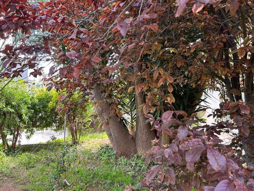 Appartement Giardino A Mare à Bari Extérieur photo