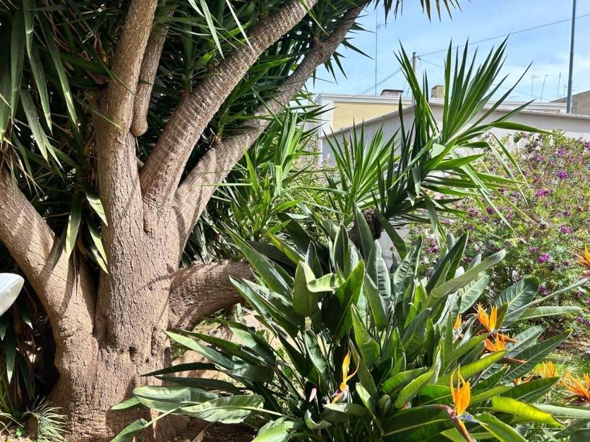 Appartement Giardino A Mare à Bari Extérieur photo