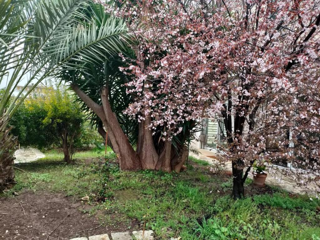Appartement Giardino A Mare à Bari Extérieur photo